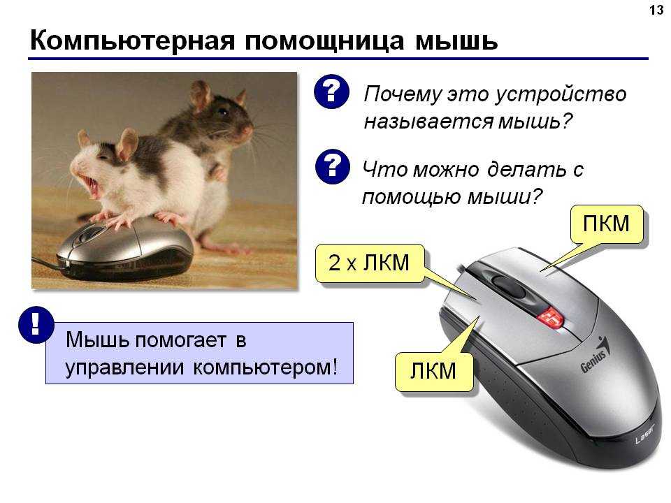 Скорость кликов мышки