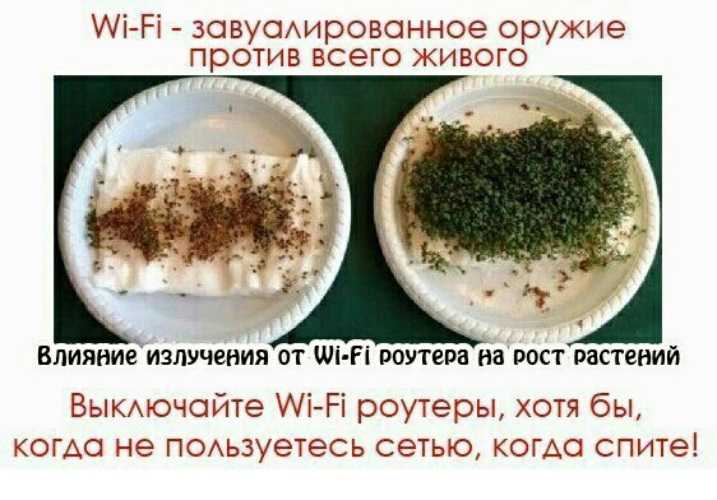 Вред wifi для здоровья — вся правда!