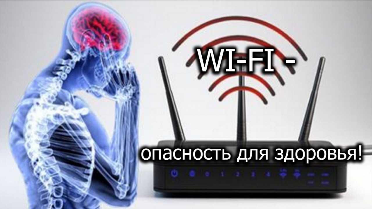 Опасен ли wi-fi для здоровья?